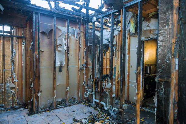 Professional Fire Damage Removal technician working in Anna Maria, FL